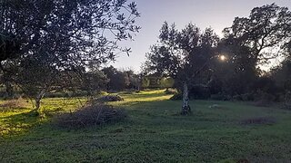 Land for sale in Alcanena, Portugal — €25,500