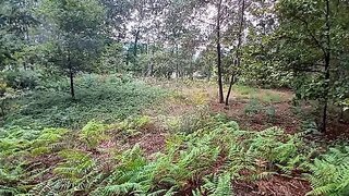 Land for sale in Fafe, Portugal — €23,500