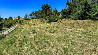 Land for sale in Alcobaça, Portugal — €195,000