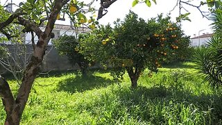 Land for sale in Condeixa-a-Nova, Portugal — €120,000