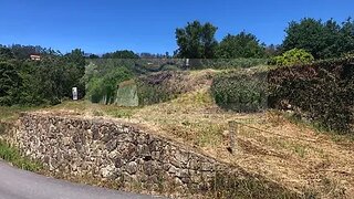 Land for sale in Sever do Vouga, Portugal — €25,000
