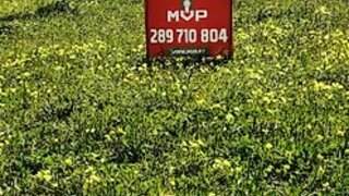Terreno em Vila do Bispo
