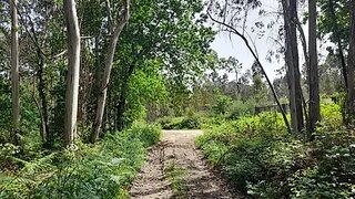 Land for sale in Esposende, Portugal — €92,000