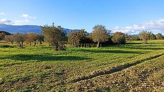 Land for sale in Covilhã, Portugal — €24,990