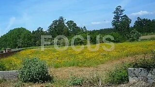 Land for sale in Oliveira do Bairro, Portugal — €50,000