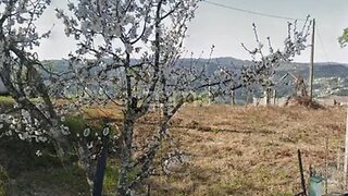 Grond · 1.183 m² · € 20.500