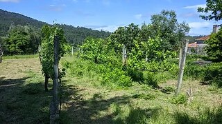 Land for sale in Vila Nova de Cerveira, Portugal — €48,000