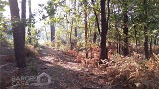 Land for sale in Barcelos, Portugal — €252,000