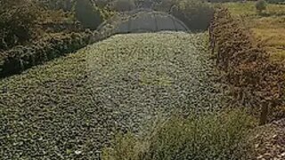 Terreno para venda em Valongo, Portugal — 140 000 €
