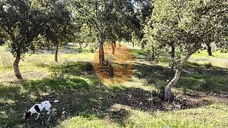 Land for sale in Castro Marim, Portugal — €25,000