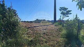 Land for sale in Torres Novas, Portugal — €60,000
