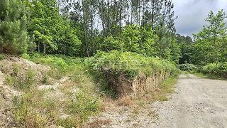 Terreno · 2264 m² · 65 000 €