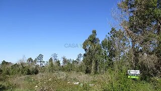 Land for sale in Condeixa-a-Nova, Portugal — €26,500