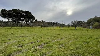 Land for sale in Viseu, Portugal — €61,000