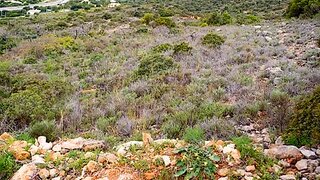 Terreno em Faro