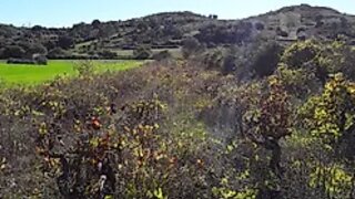 Land for sale in Azambuja, Portugal — €17,200