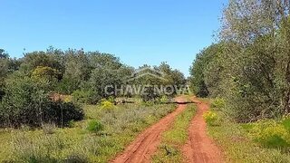 Land for sale in Albufeira, Portugal — €59,000