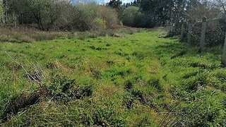 Land for sale in Alcobaça, Portugal — €10,000