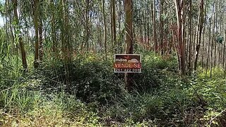Land for sale in Óbidos, Portugal — €45,000