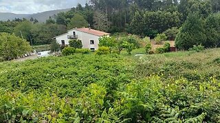 Land for sale in Caminha, Portugal — €38,000
