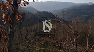 Land for sale in Vieira do Minho, Portugal — €175,000