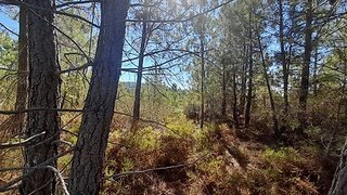 Terreno de 1320 m² em Castelo Branco