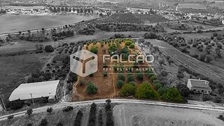 Terreno em Santarém · 9618 m² · 75 000 €
