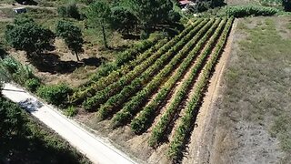 Land for sale in Torres Vedras, Portugal — €30,000