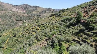 Terreno em Tabuaço