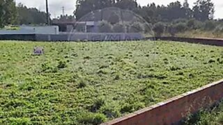 Land for sale in Pombal, Portugal — €59,900