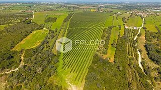 Terreno de 186 240 m² em Santarém