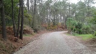 Terreno · 8500 m² · 55 000 €
