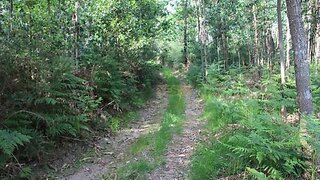 Land for sale in Monção, Portugal — €535,000