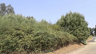 Land for sale in Oliveira de Azeméis, Portugal — €70,000