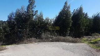 Land for sale in Águeda, Portugal — €14,000