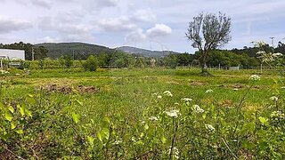 Land for sale in Ponte de Lima, Portugal — €95,000