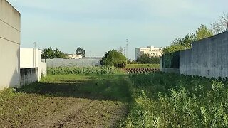Terreno de 2167 m² em Aveiro