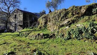 Terreno em Oliveira do Hospital · 1795 m² · 98 500 €