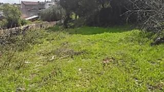 Land for sale in Azambuja, Portugal — €18,000