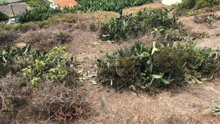 Land for sale in Ribeira Brava, Portugal — €190,000