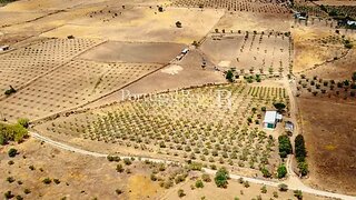 Terreno em Campo Maior