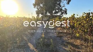 Land for sale in Palmela, Portugal — €260,000