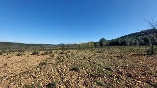 Land for sale in Idanha-a-Nova, Portugal — €88,000
