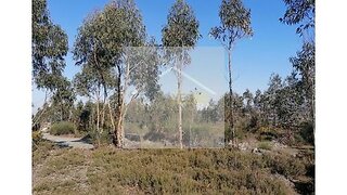 Land for sale in Paredes, Portugal — €80,000