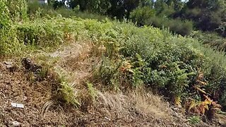 Land for sale in Vila Nova de Gaia, Portugal — €65,000