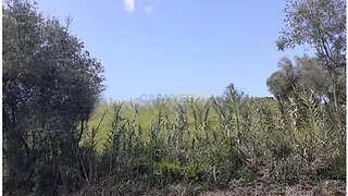 Land for sale in Alenquer, Portugal — €59,000