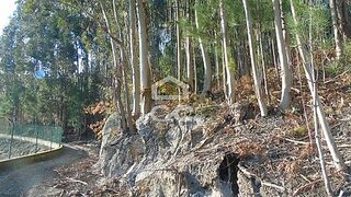 Terreno em Fafe · 5600 m² · 28 500 €
