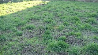 Land for sale in Caminha, Portugal — €130,000