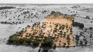 Land for sale in Reguengos de Monsaraz, Portugal — €30,000