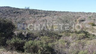 Land for sale in Ferreira do Zêzere, Portugal — €12,000